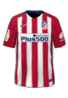 Hjemme kit