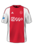Domácí kit