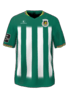 İç Saha kit