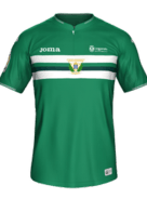 Fora kit