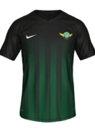 Away kit