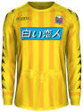 Third kit