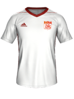 Away kit