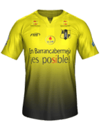 Hjemme kit