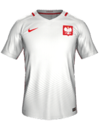 İç Saha kit