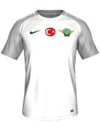 Away kit