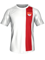 Away kit