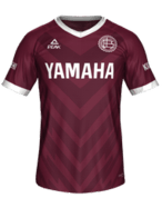 Hjemme kit