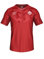 Domácí kit