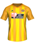 Hjemme kit