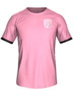 Domowy kit
