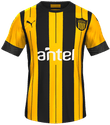 Home kit