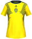 İç Saha kit