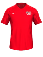 Domowy kit