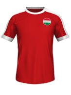 Hjemme kit