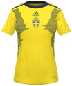İç Saha kit