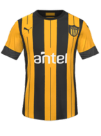 Home kit