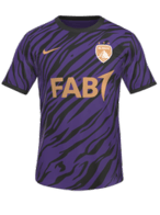 Away kit