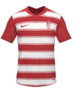 Domácí kit