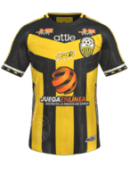 Home kit