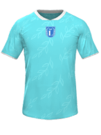 Heim kit