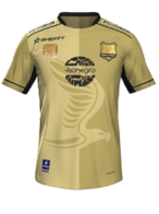 Away kit