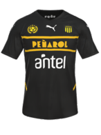 Borte kit