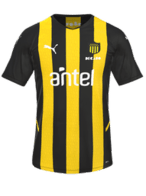 Hjemme kit