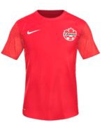 İç Saha kit