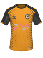 Hjemme kit