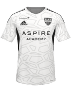 İç Saha kit